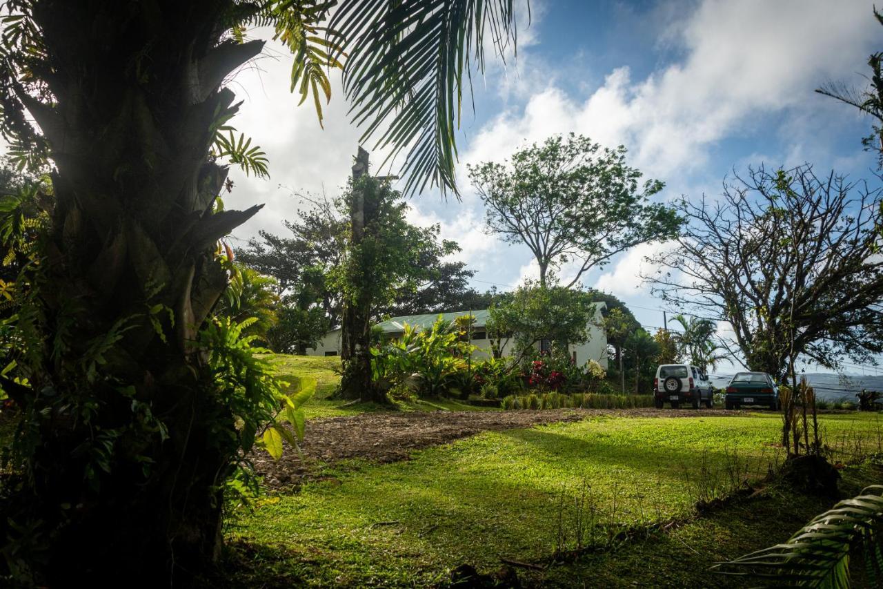 Vista Lago Arenal Piedras Ngoại thất bức ảnh