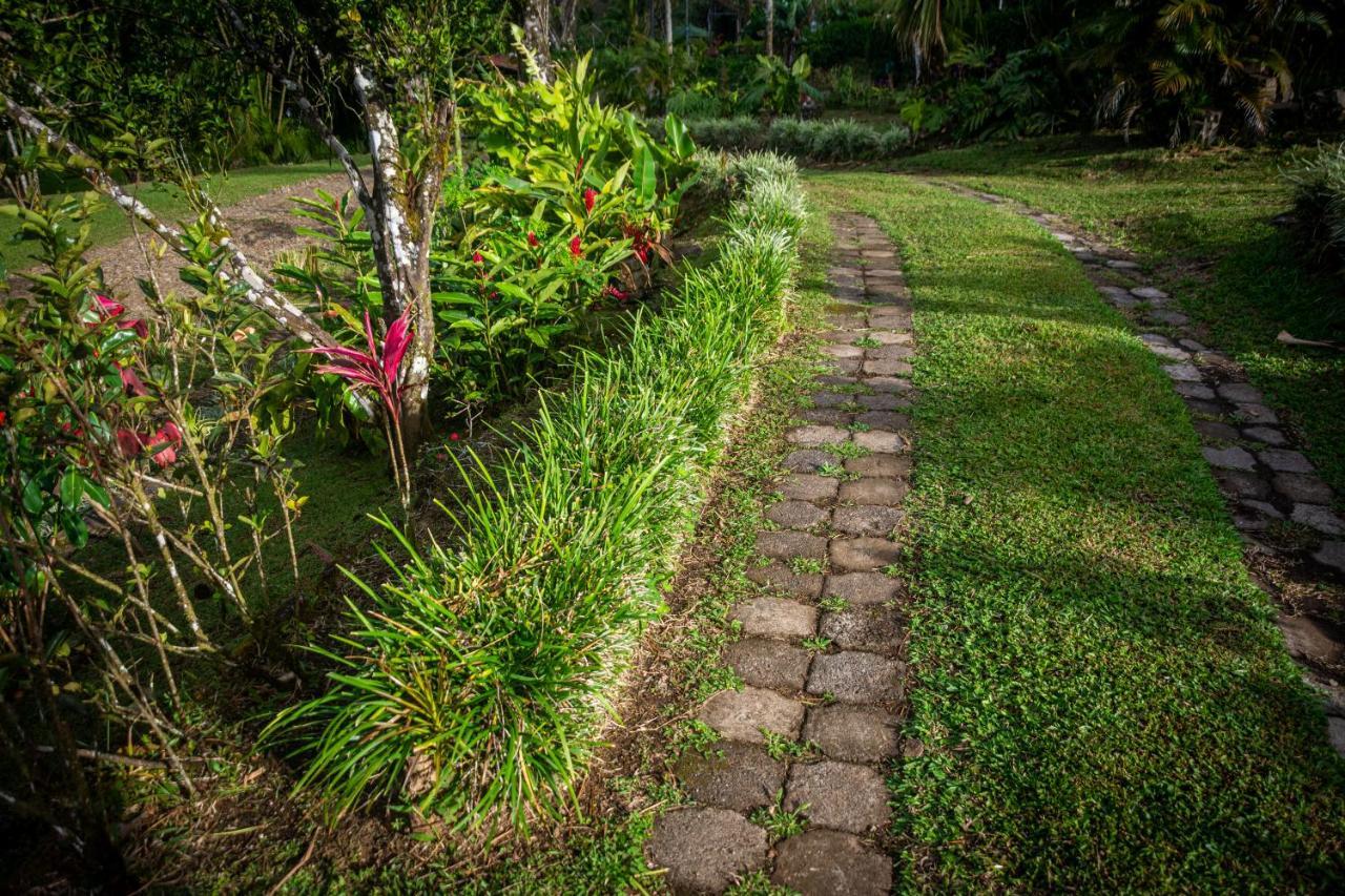 Vista Lago Arenal Piedras Ngoại thất bức ảnh