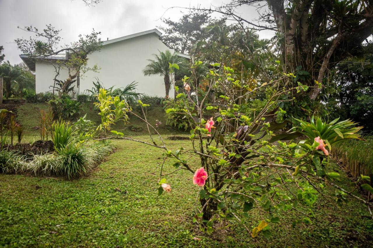 Vista Lago Arenal Piedras Ngoại thất bức ảnh