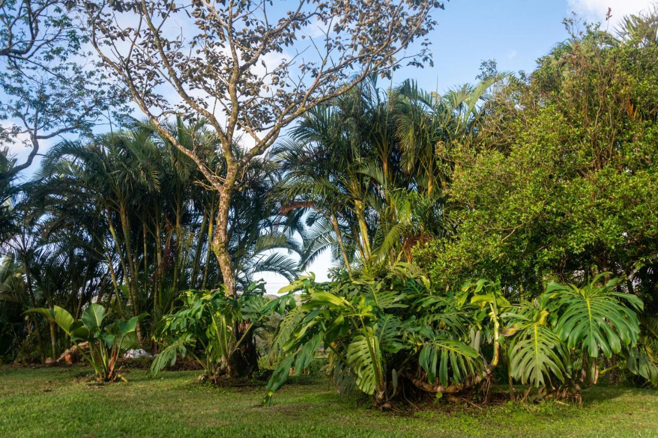 Vista Lago Arenal Piedras Ngoại thất bức ảnh