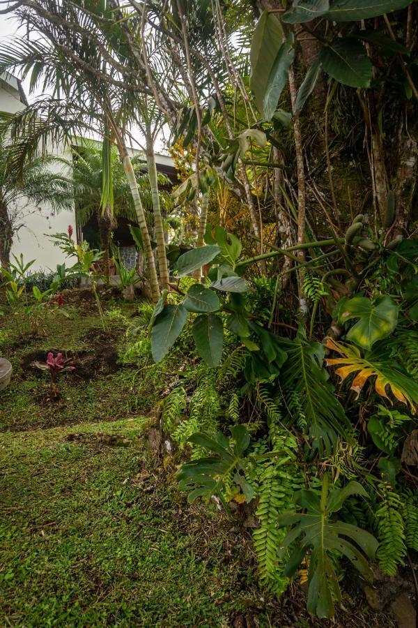 Vista Lago Arenal Piedras Ngoại thất bức ảnh